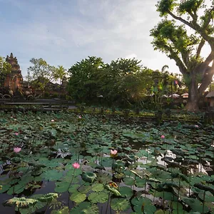 Affittacamere Puri Saraswati Dijiwa